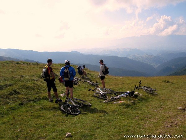 mtb guided tours