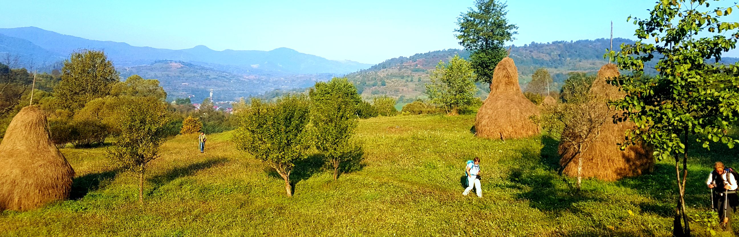 Maramures landscape