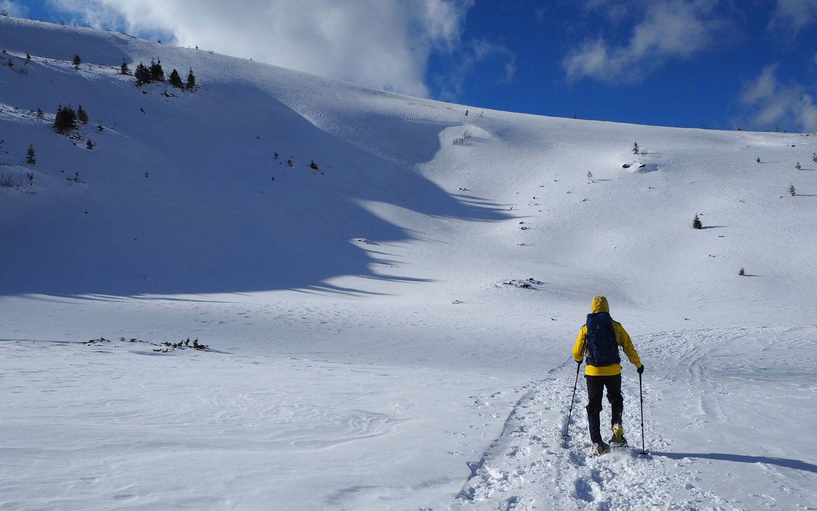 Winter holiday walking tour on snowshoes Carpathian Mountains  sejours circuits Rando Raquette Carpates drumetii rachete de zapada
